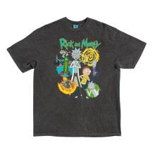 (L, Charcoal) Rick And Morty Unisex Adult Vintage Wash T-Shirt