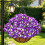 2 Sets of Artificial Plant Hanging Baskets 6