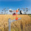 Solor Bird Deterrent Reflective Scare Seagulls Scarer  Bird Device Garden 4