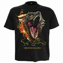 (M, Black) HOD 2 - DROGON - Front Print T-Shirt Black