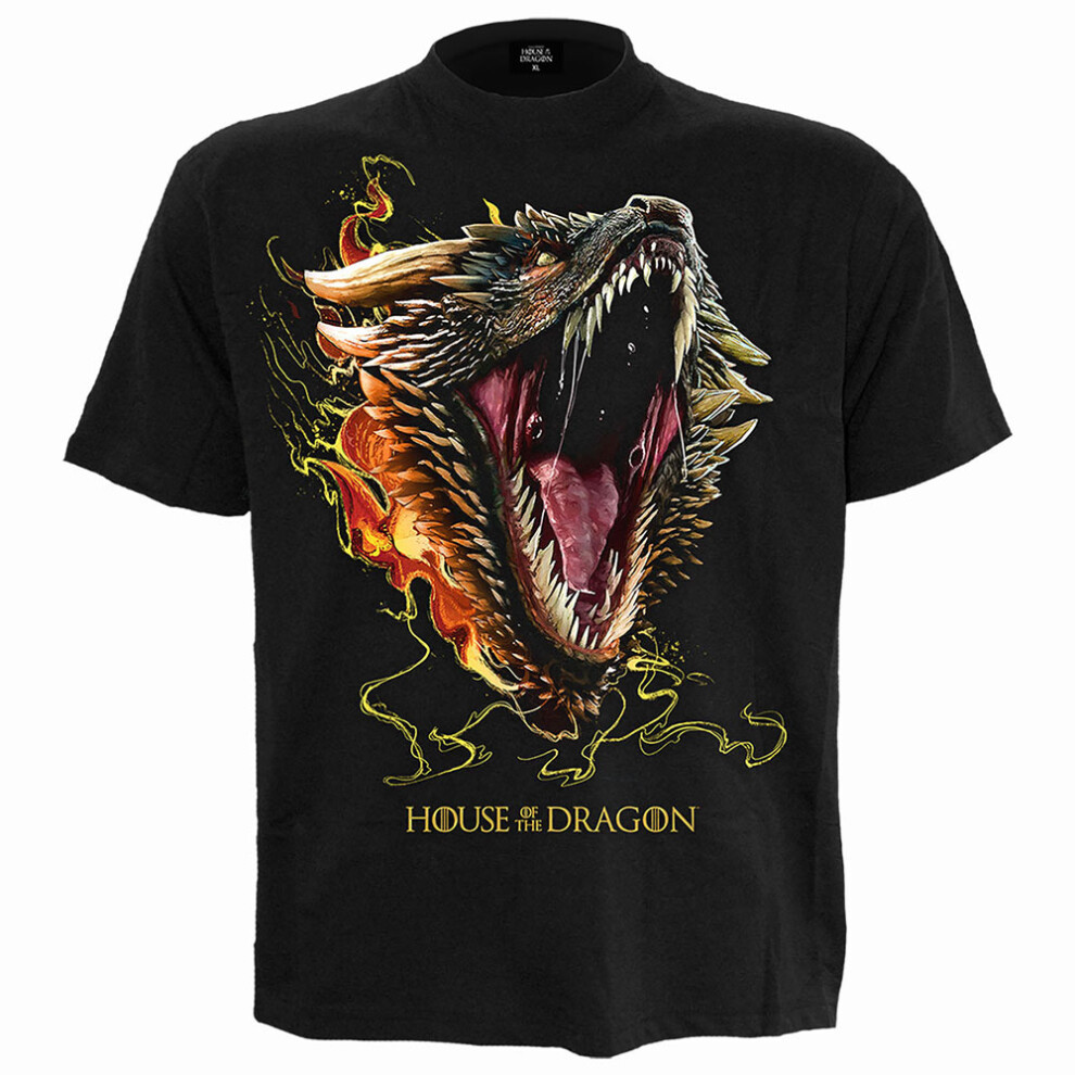 Game Of Thrones (M, Black) Hod 2 - Drogon - Front Print T-Shirt Black