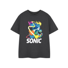 (3-4 Years) Sonic the Hedgehog Short Sleeved T-Shirt (Boys Grey)