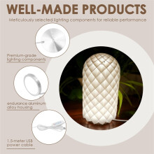 10PCS LED Lamp Kit 3 Colors 5V USB Powered 3000k-6400k Warm Light Adjustable Brightness 3D Printing Workspace Lamp