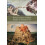 From Creation to Babel Studies in Genesis 111 by John Day Paperback Bo 1