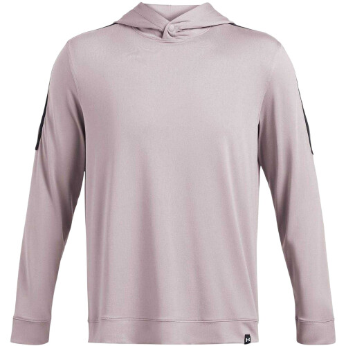 Under Armour (L, Grey) Under Armour Mens Regular Hoodie