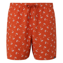(3XL, Poppy Red) Regatta Mens Loras Palm Swim Shorts