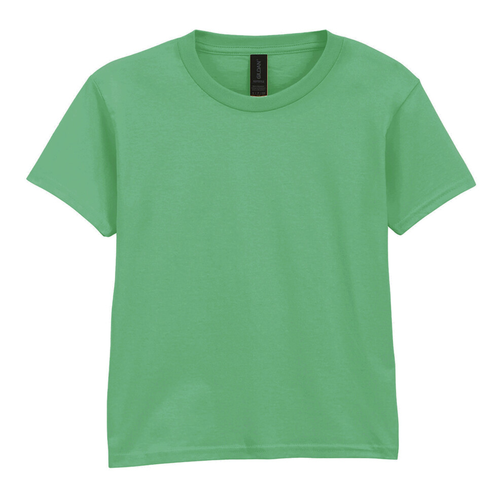 Gildan (3-4 Years, Irish Green) Childrens/Kids Softstyle Plain T-Shirt