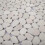 VidaXL vidaXL Kieselplatten Weiß 30 x 30 cm Flusskiesel 6
