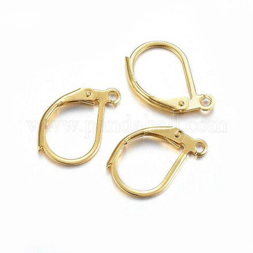304 Rustfrit Stål Leverback Øreringe med Loop Ægte 24K Forgyldt 15x10x2mm