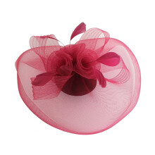 Chapeau bibi pour femme, élégant, voile de plumes, résille, rétro, léger, accessoire de costume, couleur unie, chapeau de mariée pour femme