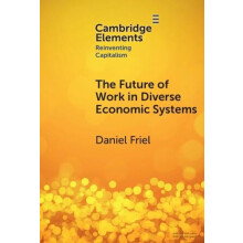 The Future of Work in Diverse Economic Systems by Daniel Friel Hardcov