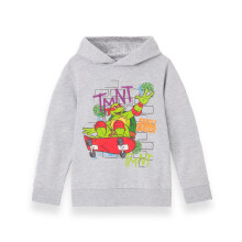 (5-6 Years) Teenage Mutant Ninja Turtles Hoodie (Boys Grey)