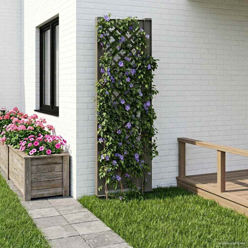VidaXL vidaXL Trellis mit Spike PP Grau