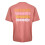 Lacoste (S, Red) Lacoste Mens Effect Ombr Print T-Shirt 2