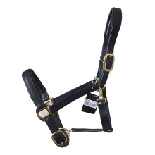 (X Full, Black) Gallop Premium Leather Padded Horse Headcollar