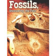 Fossils