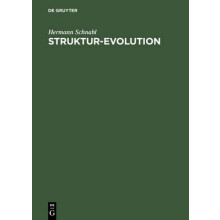 Struktur-Evolution
