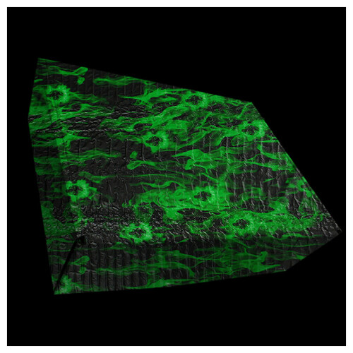 Kit D'Impression par Transfert Hydrographique pour Film Hydrographique  Skull Vert 0.5X2M 2