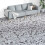 VidaXL vidaXL Bodenplanken Grau 5,26 m² 18 Stk. PVC 1