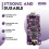 Mobile Phone Small Tail HIFI Earphone Amplifier TypeC Digital DSD Hard Solution DIY Earphone Adapter for DAC 3