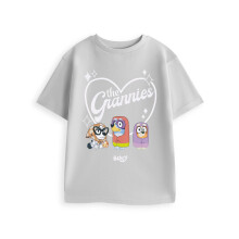 (5-6 Years) Bluey Short Sleeved T-Shirt (Unisex Kids Grey)