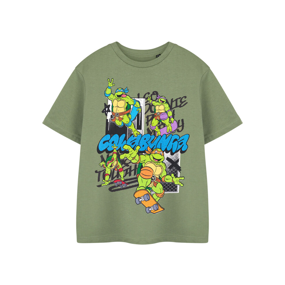 Teenage Mutant Ninja Turtles (9-10 Years) Short Sleeved T-Shirt (Boys Green)