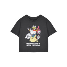 (Small) Hello Kitty Cropped Short Sleeved T-Shirt (Womens Grey)