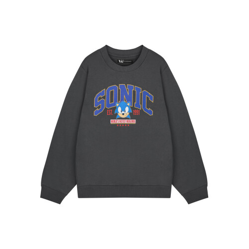 Sonic The Hedgehog (Large) Sonic the Hedgehog Sweatshirt (Mens Grey)