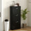 Three-Drawer Minimalistic Shoe Cabinet - Black 4