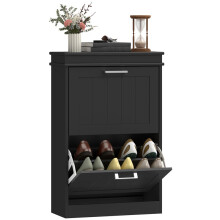 Two-Drawer Minimalistic 10-Shoe Cabinet - Black