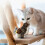 Interactive Flapping Bird Cat Toy - Simulated Chirping Bird, Engaging Toy for Cats,Durable and Fun 6