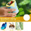 1000X Microscope for Kids,  Pocket Handheld Kid Microscope with 2.0Inch Screen & Slides Kit,  Kid Microscope 3