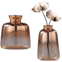 2Pcs Glass Vase Electroplated Gold Vase Glass Flower Vases for Home Decor Dried Flower Bottle - 11 x 9Cm & 14 x 9Cm