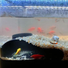 Cave for Fish Tank Fish Tank Accessories Rest Protection Tunnel Decorations for Shrimp Turtle Habitats Black