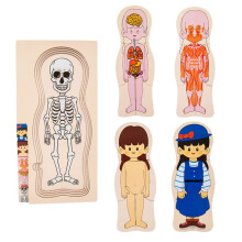 Wooden Human Body Structure Puzzle Children'S Multi-Layer Plane Puzzle Early Childhood Education Toys,Girl