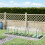 350  x 100 cm Low Tunnel Greenhouse - Clear 3