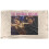 Friends (127cm x 152cm, Multicoloured) Friends The Original Routine Soft Touch Blanket 1