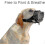 Dog Muzzle Anti Biting Barking Chewing With Soft Padding And Adjustable Loop 5