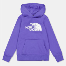 (M, Purple) The North Face Boys Drew Peak Cotton Fleece Lined Relaxed Fit Hoodie
