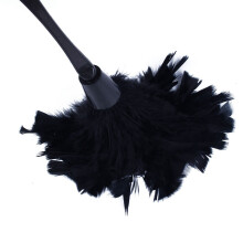 2 Pc Plumeau de Dinde À La Mode Avec PoignéE en Plastique Noir Outil de Nettoyage (Noir) 35cm