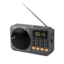 Handheld Digital FM Radio USB TF MP3 Player Portable Radio Music Player with LED Flashlight and Display Gray