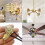 Ceiling Fan Light  Zing Ear ZE-109 Two-Wire Light  with Pull Cords for Ceiling Light Fans Lamps 4Pcs Gold 4