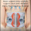 3-in-1 Sciatica Support Belt with Massage Feature for Back Pain Relief and Posture Improvement 4