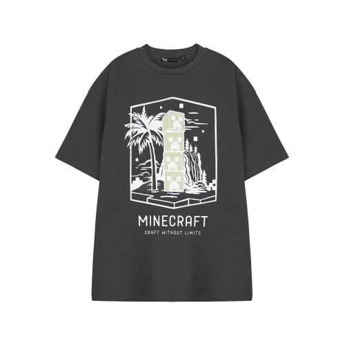 Minecraft (Medium) Minecraft Short Sleeved T-Shirt (Mens Grey)