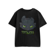 (3-4 Years) How to Train Your Dragon Short Sleeved T-Shirt (Boys Black)