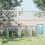 295  x 100 cm Low Tunnel Greenhouse - Clear 3