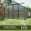 8x12ft Aluminium Polycarbonate Greenhouse Kit 6