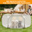 Pet Playpen Safety Barrier for Small Pets - Supervised Exercise, Space Separation & Social Interaction 3