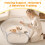 Pet Playpen Safety Barrier for Small Pets - Supervised Exercise, Space Separation & Social Interaction 5
