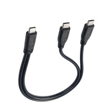 Câble de charge USB-C vers deux ports USB-C mâles de 30 cm pour une alimentation rapide sur les appareils USB-C (multicolore)